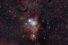 009-NGC2264-Nebuleuse-du-Cone