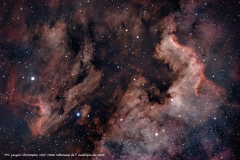020-NGC7000_RGB_V1